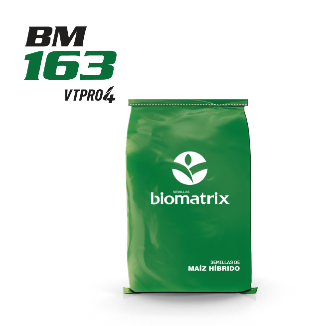 Produto BM 163 PRO4